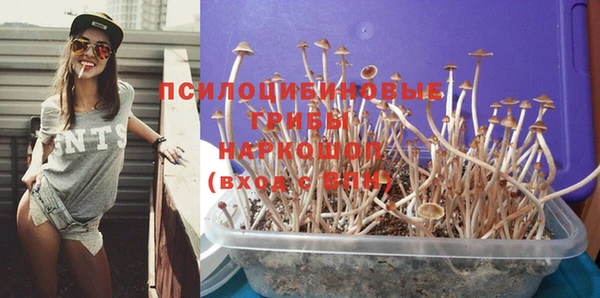 шишки Алексеевка