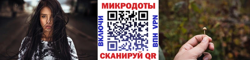 хочу наркоту  Суджа  Псилоцибиновые грибы Psilocybe 